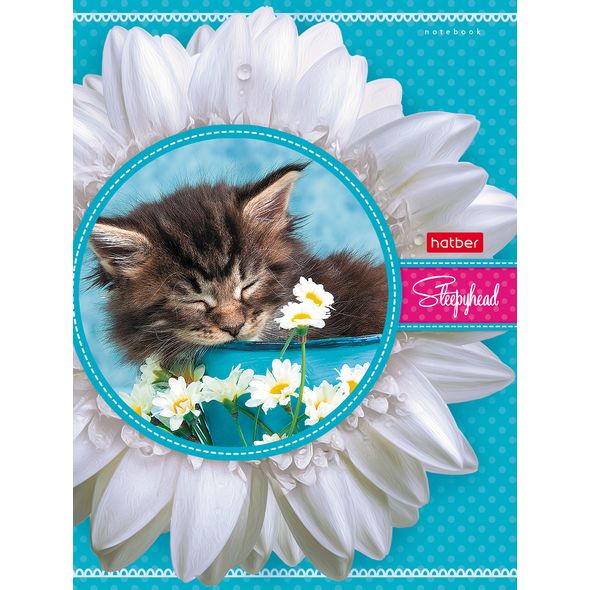 Бизнес-блокнот 80л А6ф клетка тв.переплет с поролоном-Котенок- , 